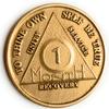 1 Month AA Medallion Traditional Style Raised Center 30 Day Sobriety Chip view 1