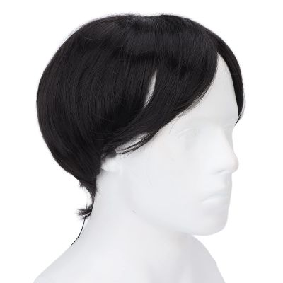 TITA-DONG Short Black Men's Wigs, Synthetic Full Wig Replacement Wig, Finely Cut, Fluffy, Realistic, Breathable mesh, Solid Synthetic Hair for Handsome Male Everyday Costumes