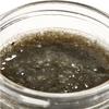 KB's Vegan Kitchen's Wild Crafted Jamaican Sea Moss Blends (16 oz., Moringa Moss) view 2