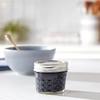 KB's Vegan Kitchen's Wild Crafted Jamaican Sea Moss Blends (16 oz., Black Moss) view 3