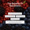 Momentous Resveratrol Supplement 450 mg - Trans-Resveratrol for Healthy Aging, Brain, & Heart Support - NSF Certified for Sport - GMO- & Gluten-Free - 30 Servings view 3