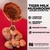 Nootropics Depot Tiger Milk Mushroom Capsules | 300mg | 60 Count | Lignosus rhinocerus Sclerotium | Cognition, Histamine, & Respiratory Support view 4
