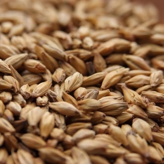 Melanoidin Malt - Specialty Malts 10 lbs beer brewing grains (Whole/Not Crushed)