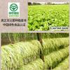 Bailinhou Root strip yacai sichuan preserved vegetables 14.10 oz(400g), mustard stem Dried Vegetable, Laotan fermentation, from szechuan, China view 4