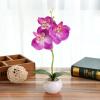 ECLAYA Fake Flowers Three-Flowered Phalaenopsis Bonsai Green Plant Simulation Potted Plant Purple Three-Flowered Phalaenopsis Small Bonsai (Small Round Pot) view 1