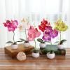 ECLAYA Fake Flowers Three-Flowered Phalaenopsis Bonsai Green Plant Simulation Potted Plant Purple Three-Flowered Phalaenopsis Small Bonsai (Small Round Pot) view 2