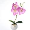 ECLAYA Fake Flowers Three-Flowered Phalaenopsis Bonsai Green Plant Simulation Potted Plant Purple Three-Flowered Phalaenopsis Small Bonsai (Small Round Pot) view 3