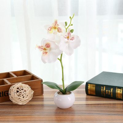ECLAYA Fake Flowers Three-Flowered Phalaenopsis Bonsai Green Plant Simulation Potted Plant White Three-Flowered Phalaenopsis Small Bonsai (Small Round Pot)
