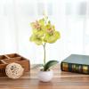 ECLAYA Fake Flowers Three-Flowered Phalaenopsis Bonsai Green Plant Simulation Potted Plant Green Three-Flowered Phalaenopsis Small Bonsai (Small Round Pot) view 1