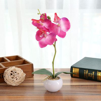 ECLAYA Fake Flowers Three-Flowered Phalaenopsis Bonsai Green Plant Simulation Potted Plant Rose Three-Flowered Phalaenopsis Small Bonsai (Small Round Pot)
