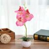 ECLAYA Fake Flowers Three-Flowered Phalaenopsis Bonsai Green Plant Simulation Potted Plant Pink Three-Flowered Phalaenopsis Small Bonsai (Small Round Pot) view 1