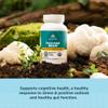 Ancient Nutrition Regenerative Organic Certified Focused Brain Capsules, Made with Ginkgo Leaf, Lion's Mane to Help Reduce Stress, Gluten Free, Paleo and Keto Friendly, 90 Count view 3