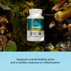 Ancient Nutrition Regenerative Organic Certified Turmeric Capsules, Once Daily, Use as a Joint Supplement and Supports Inflammation, Gluten Free, Paleo and Keto Friendly, 90 Count view 3