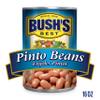 Bush's Best Pinto Beans, 16 Ounce (Pack of 9) view 3
