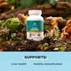 Ancient Nutrition Regenerative Organic Certified Liver Cleanse Supplement, Ancient Herbals Liver Cleanse with Milk Thistle, Burdock Root & Reishi for Optimal Liver Support, Gluten Free, 90 Count view 3