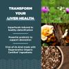 Ancient Nutrition Regenerative Organic Certified Liver Cleanse Supplement, Ancient Herbals Liver Cleanse with Milk Thistle, Burdock Root & Reishi for Optimal Liver Support, Gluten Free, 90 Count view 4