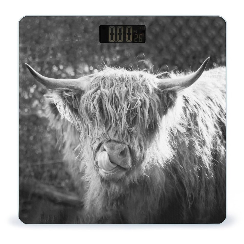 Black White Highland Cow Digital Scale for Body Weight Smart Weight Scale Bathroom Body Scale for Home Bedroom