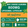 Ulmubra 800 MG Liposomal Luteolin Supplement - Maximum Absorption, Premium Antioxidant Supplement for Brain & Overall Well-Being, 60 Softgels - 30-Day Supply view 2
