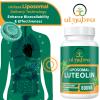 Ulmubra 800 MG Liposomal Luteolin Supplement - Maximum Absorption, Premium Antioxidant Supplement for Brain & Overall Well-Being, 60 Softgels - 30-Day Supply view 3