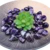 FIDEMM Amethyst Rough Stone 100g Natural Amethyst Crushed Stone Large Original Stone Granule Crystal degaussing Stone view 2