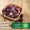 DISPOSABLE GREEN  Square Disposable Bowls, Areca Leaf Serving Bowls, Serving Bowls for Parties, Weddings, Catering, & More, Disposable Bowls for Hot Food & Cold Food, 12L x 12W x 4D cm, 500-Pcs view 2