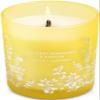 Coconut Mandarin Vanilla Wood Wick Soy Scented Candle, 10.6 oz | Tropical Coconut Citrus Aromatherapy Candle for Home | Highly Scented, Long-Lasting Clean Burn view 1
