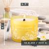Coconut Mandarin Vanilla Wood Wick Soy Scented Candle, 10.6 oz | Tropical Coconut Citrus Aromatherapy Candle for Home | Highly Scented, Long-Lasting Clean Burn view 4