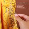 20.9in Human Body Acupuncture Model, Acupuncture Female Model for Chinese Teaching, Acupuncture and Massage, High Definition Clear view 2