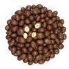 Smarty Stop Chocolate Covered Peanuts (1 Pound (Pack of 1), Milk Chocolate) view 1