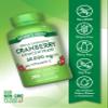 Nature's Truth Cranberry Concentrate Pills | Plus Vitamin C | 200 Quick Release Capsules | Non-GMO & Gluten Free Supplement view 3