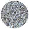 Wholesale Natural Semi Tumbled Mother of Pearl Gemstone Chips, Crushed Mini Crystals, Undrilled Crystal Chips (Mother of Pearl, 0.25 Pound) view 1