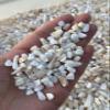 Wholesale Natural Semi Tumbled Mother of Pearl Gemstone Chips, Crushed Mini Crystals, Undrilled Crystal Chips (Mother of Pearl, 0.25 Pound) view 4