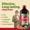 fall Pancharishta 650ml view 4