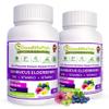 7X Elderberry with ZINC, Vitamin C, Vitamin D, Echinacea, Ginger & Indian Gooseberry (Amla) Premium Capsules 90 ct, All Natural,Vegan,Non-GMO, No Rice Powder, No-Gluten, No Sugar (Pack of 2) view 1