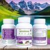 7X Elderberry with ZINC, Vitamin C, Vitamin D, Echinacea, Ginger & Indian Gooseberry (Amla) Premium Capsules 90 ct, All Natural,Vegan,Non-GMO, No Rice Powder, No-Gluten, No Sugar (Pack of 2) view 2