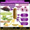 7X Elderberry with ZINC, Vitamin C, Vitamin D, Echinacea, Ginger & Indian Gooseberry (Amla) Premium Capsules 90 ct, All Natural,Vegan,Non-GMO, No Rice Powder, No-Gluten, No Sugar (Pack of 2) view 3