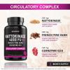 SPARTIS Nattokinase Supplement 4000 FU CoQ10 100mg French Maritime Pine Bark Extract 200mg with Enzymes for Circulatory & Cardiovascular Support (Pack of 1 at 120-Caps) view 3