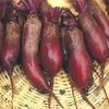 Beets Cylindra Long Red 50 seeds view 1