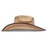Charlie 1 Horse Comanche B Palm Hat Natural 71/4 view 2