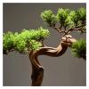 MKYOKO Artificial Bonsai Tree Artificial Bonsai Welcoming Pine Tree,15 Inches Simulation Potted Plant Decorative Bonsai, Office, Shop Decorative Giftswith Cleaning Brush Simulation Bonsai Trees view 4
