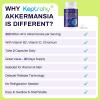 Keptrohy 300 Billion AFU Akkermansia Probiotic for Women & Men, Akkermansia Muciniphila for More Akkermansia Production, Digestive, Gut & Immune, Gut Digestive Lining Function, 60 Count view 2