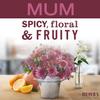 Mrs. MEYER'S CLEAN DAY Variety Dish Soap Scent (Acorn Spice + Mum) view 4
