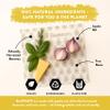 BeeWRAPZ Reusable Beeswax Wraps for Food | Eco Friendly & Organic | Vegan & Plastic-Free Food Storage | Biodegradable |Pack of 3 Beeswax Food Wraps for Wrapping Fruits & Vegetables (Grey) view 2
