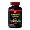 ADAPTOGEN Complex Capsules with ASHWAGANDHA, Astragalus, Holy Basil, Rhodiola, Maca Root, Panax Ginseng - Enhance Focus and Cognitive Function, Natural Energy Booster, Immune Support, 1 Bot, 60 Caps view 2