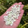 GAF TREASURES 0.5 Pound Natural Semi Tumbled Lemon Chrysoprase Gemstone Chips, Lemon Chrysoprase Crushed Mini Crystals, Undrilled Crystal Chips (Lemon Chrysoprase) view 3