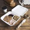 A N T INDUSTRIES 100% Natural, Biodegradable, Compostable, Ecofriendly, Safe & Hygienic Disposable 3CP Clamshell (Pack of 25) view 2