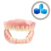 EXCEART 4pcs Portable Storage Boxes Lids Convenient Retainer Holders for Outdoor Use and Compact Design for Dentures and Retainers view 4