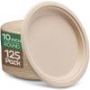 10 Inch Plates [125 Pack] + 16 oz Cups with Lids [100 Pack] view 2