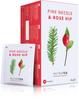 Nutra Tea - Pine Needle & Rose Hip Tea | Pine Needle Tea | Rose Hips Tea - 20 Tea Bags - Herbal Tea view 1