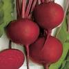 Beets Detroit Dark Red 500 Seeds view 1